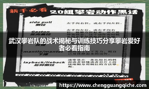 武汉攀岩队的战术揭秘与训练技巧分享攀岩爱好者必看指南