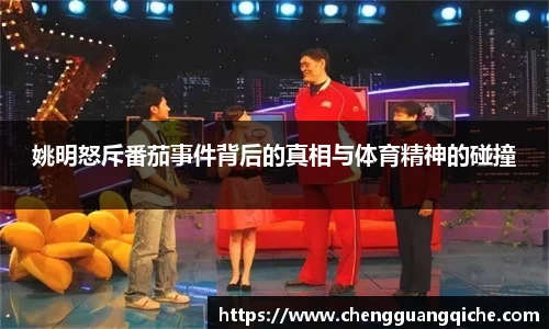 yy易游