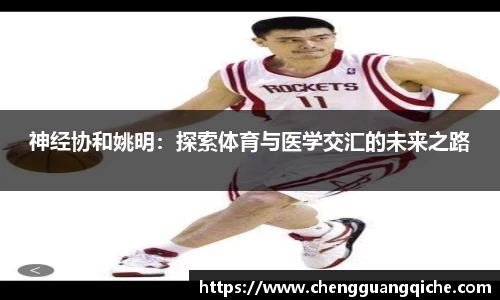 yy易游