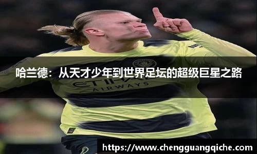 yy易游体育